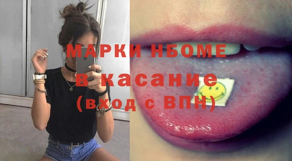 индика Алексин