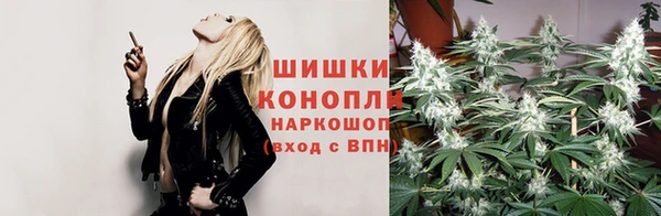 метадон Алексеевка