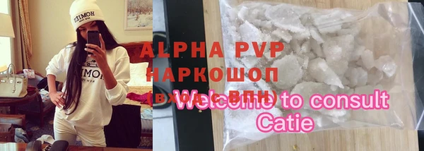 индика Алексин