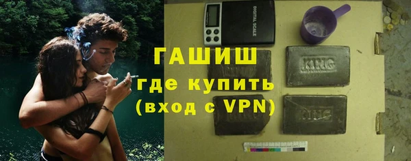 индика Алексин