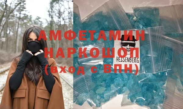 индика Алексин