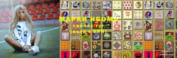 крисы Алзамай