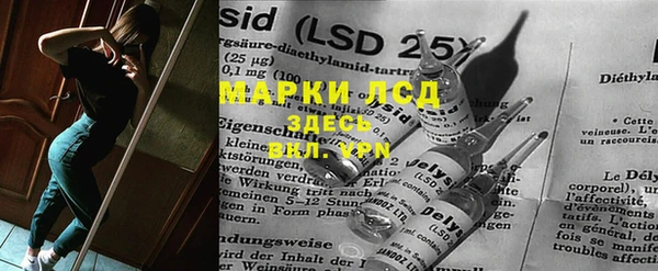 индика Алексин
