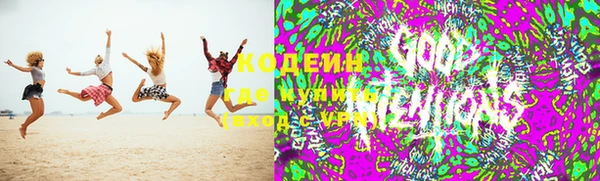 индика Алексин