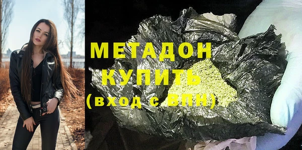 индика Алексин