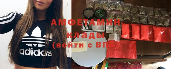крисы Алзамай