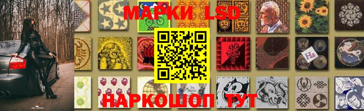 ЛСД экстази кислота  Лсд 25 экстази  Вход с VPN  Бердск  Лсд 25 экстази кислота 