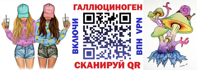 Псилоцибиновые грибы Psilocybe  Бердск 