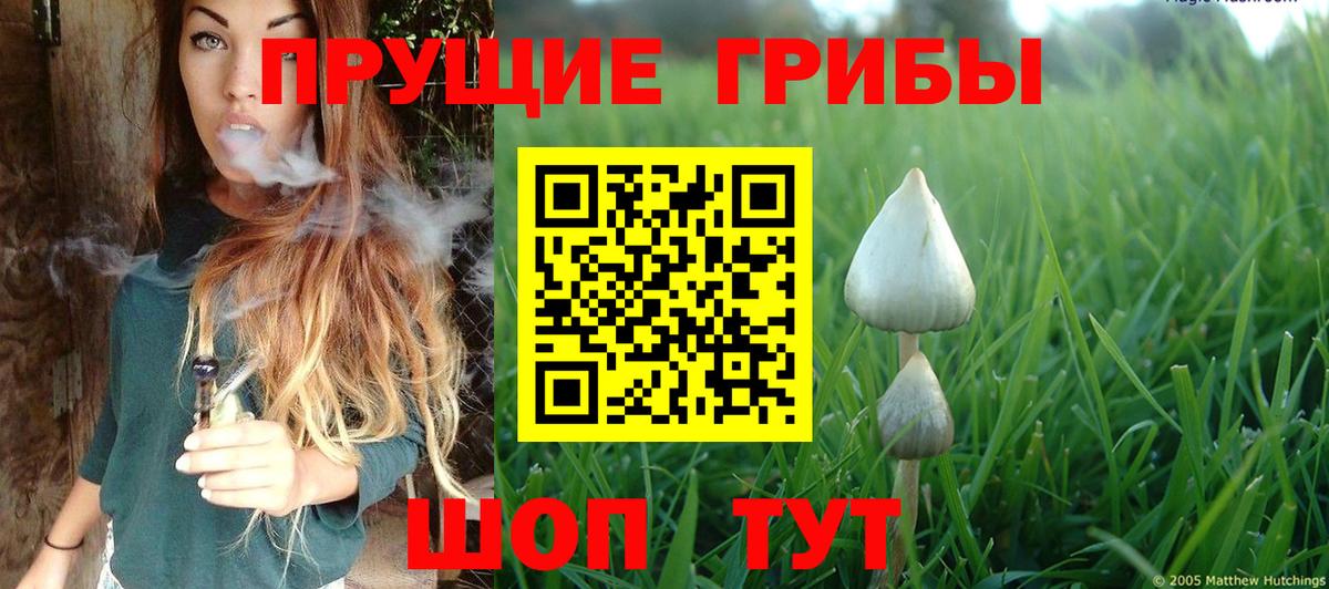 Бердск  Псилоцибиновые грибы ЛСД  Вход с VPN 