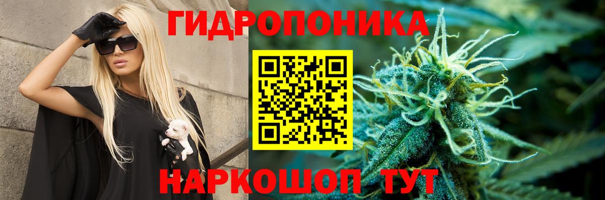 Конопля MAZAR  Канабис сатива  Бердск  Бошки Шишки конопля  Вход с VPN 