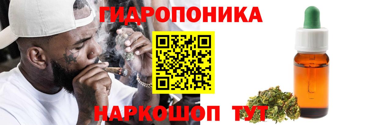 Шишки марихуана планчик Бердск